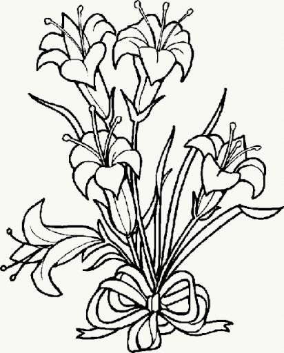 DIBUJOS DE VEGETALES PARA COLOREAR