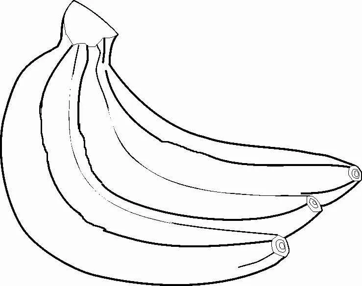 Plátanos para pintar - Imagui