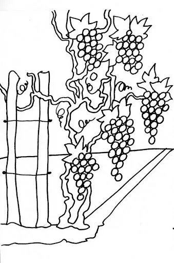 DIBUJOS DE VID PARA COLOREAR DIBUJOS DE VIÑAS DIBUJOS DE VID PARA COLOREAR DIBUJOS DE VIÑAS