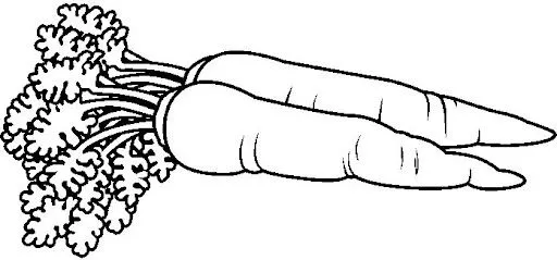 DIBUJOS DE ZANAHORIA | FICHAS PARA PINTAR | DIBUJOS PARA PINTAR