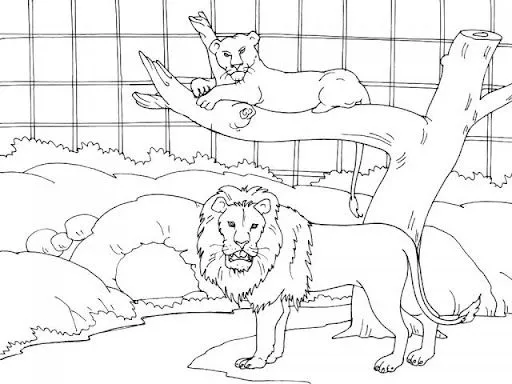 DIBUJOS DE ZOOLOGICO PARA COLOREAR – PARTE 2 | FICHAS PARA PINTAR ... DIBUJOS DE ZOOLOGICO PARA COLOREAR – PARTE 2 | FICHAS PARA PINTAR ...