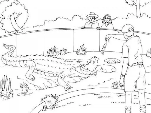 DIBUJOS DE ZOOLOGICO PARA COLOREAR – PARTE 2 | FICHAS PARA PINTAR ... DIBUJOS DE ZOOLOGICO PARA COLOREAR – PARTE 2 | FICHAS PARA PINTAR ...