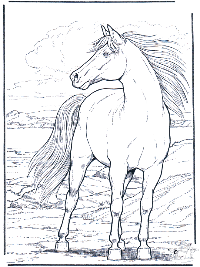 Dibujos.org / Animales / Caballos / Caballo al viento Dibujos.org / Animales / Caballos / Caballo al viento