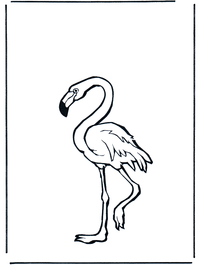 Dibujos.org / Animales / Pájaros / Flamenco Dibujos.org / Animales / Pájaros / Flamenco