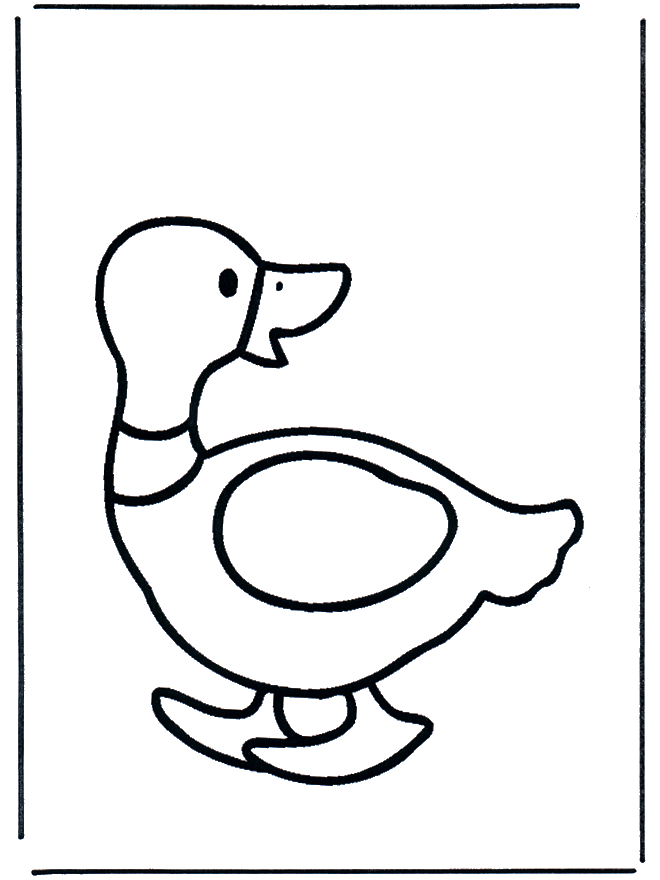Dibujos.org / Animales / Pájaros / Pato 2