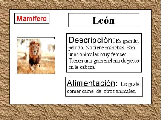 animales10.jpg