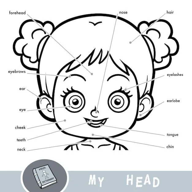 Diccionario visual de dibujos animados para niños sobre el cuerpo humano. mi cabeza se parte por una chica. | Vector Premium Diccionario visual de dibujos animados para niños sobre el cuerpo humano. mi cabeza se parte por una chica. | Vector Premium