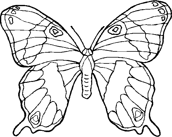 Imagenes de mariposas en blanco y negro - Imagui Imagenes de mariposas en blanco y negro - Imagui