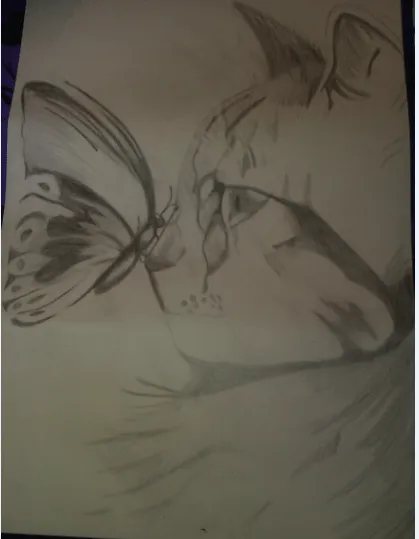 Didáctica de la expresión plástica y visual : Gato y mariposa a lápiz