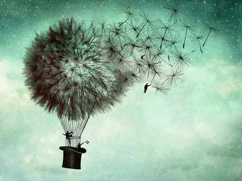 Diente-de-leon | Tumblr