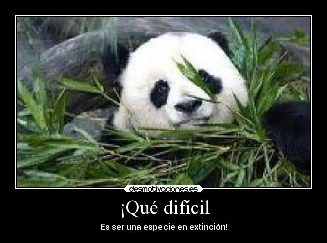 Qué difícil | Desmotivaciones