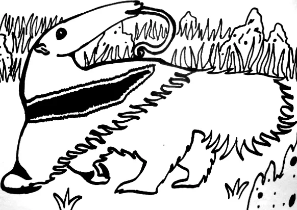 Difusion Animalia: ¡A colorear la Fauna Nativa! Difusion Animalia: ¡A colorear la Fauna Nativa!