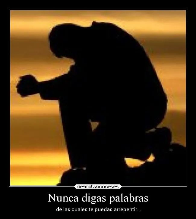 Nunca digas palabras | Desmotivaciones