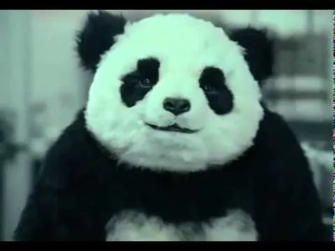No le digas que no al panda - YouTube