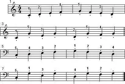 La digitación de las manos | rarezas16