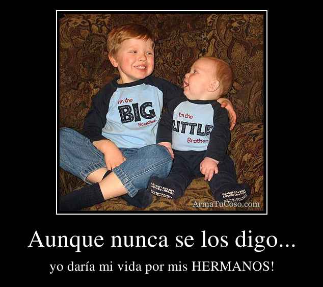 Aunque nunca se los digo...