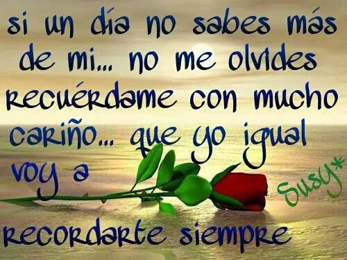 DILO CON FLORES Y TARJETAS: recuerdame