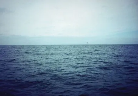 La Dimensión Desconocida: Programa LDD: "Supersticiones del Mar y ... La Dimensión Desconocida: Programa LDD: "Supersticiones del Mar y ...