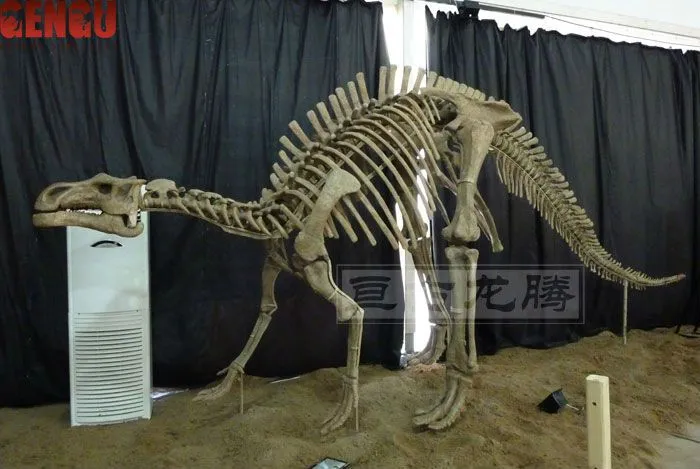 Dino museo esqueletos de dinosaurios en la pantalla-Otros ... Dino museo esqueletos de dinosaurios en la pantalla-Otros ...
