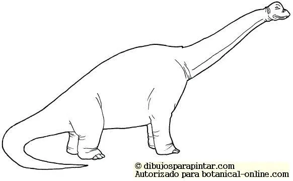 Dinosaurio Diplodocus