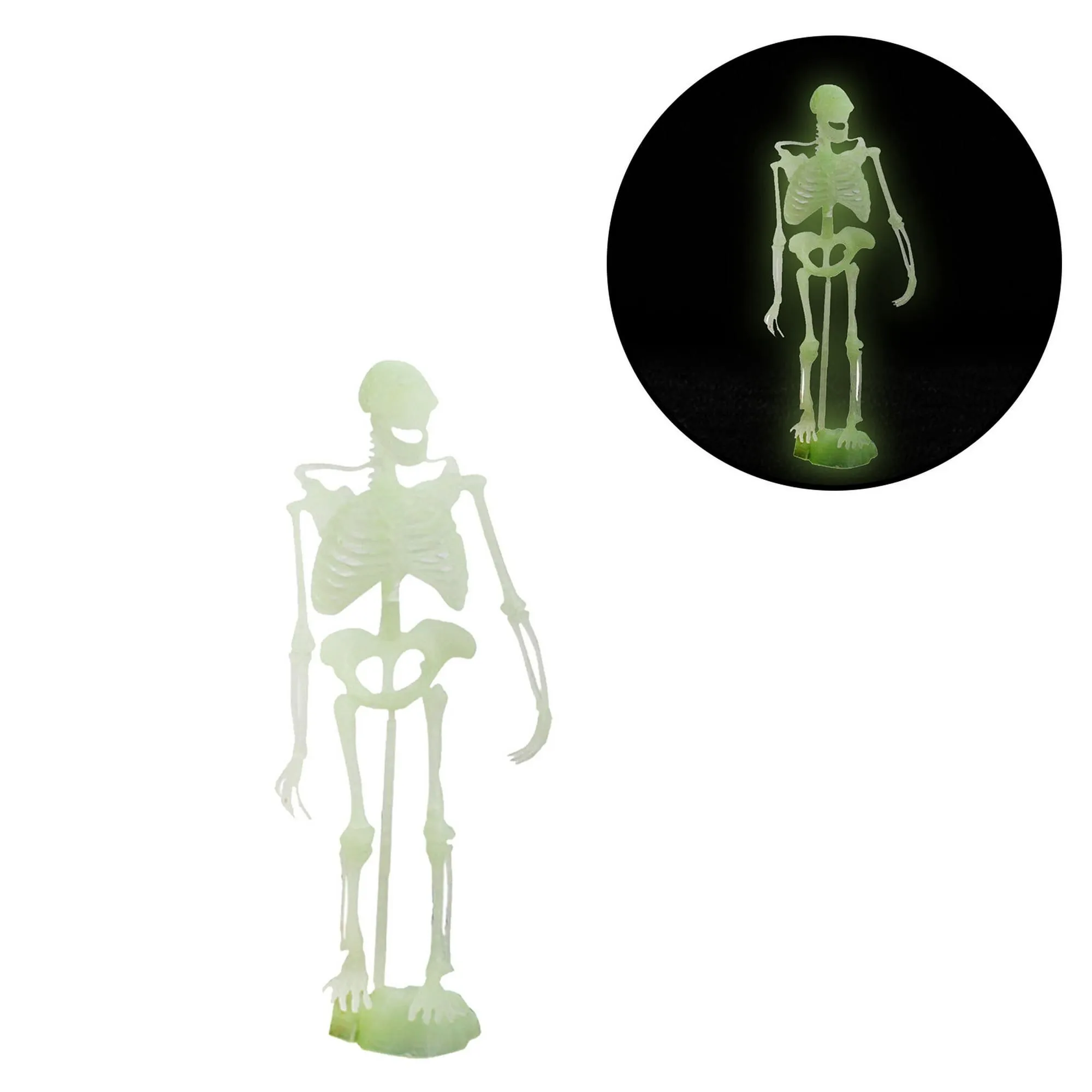 Dinosaurio noctilucente modelo de esqueleto humano montaje cráneo juguete huesos decoración Wmkox8yii shdjk5372 | Bodega Aurrera en línea Dinosaurio noctilucente modelo de esqueleto humano montaje cráneo juguete huesos decoración Wmkox8yii shdjk5372 | Bodega Aurrera en línea