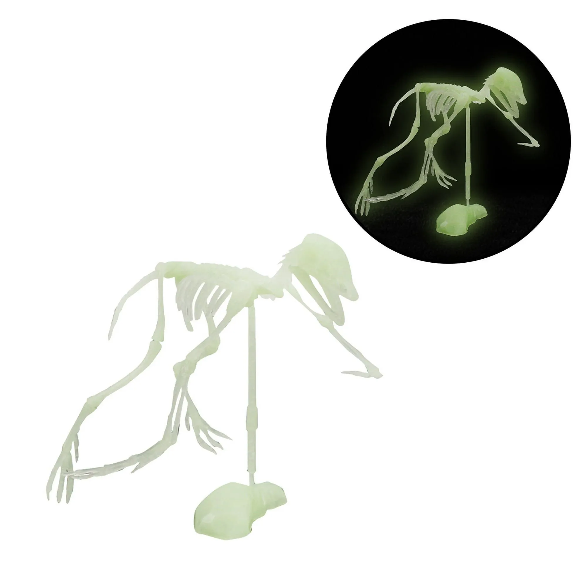 Dinosaurio noctilucente modelo de esqueleto humano montaje cráneo juguete huesos decoración Wmkox8yii shdjk5371 | Walmart en línea Dinosaurio noctilucente modelo de esqueleto humano montaje cráneo juguete huesos decoración Wmkox8yii shdjk5371 | Walmart en línea