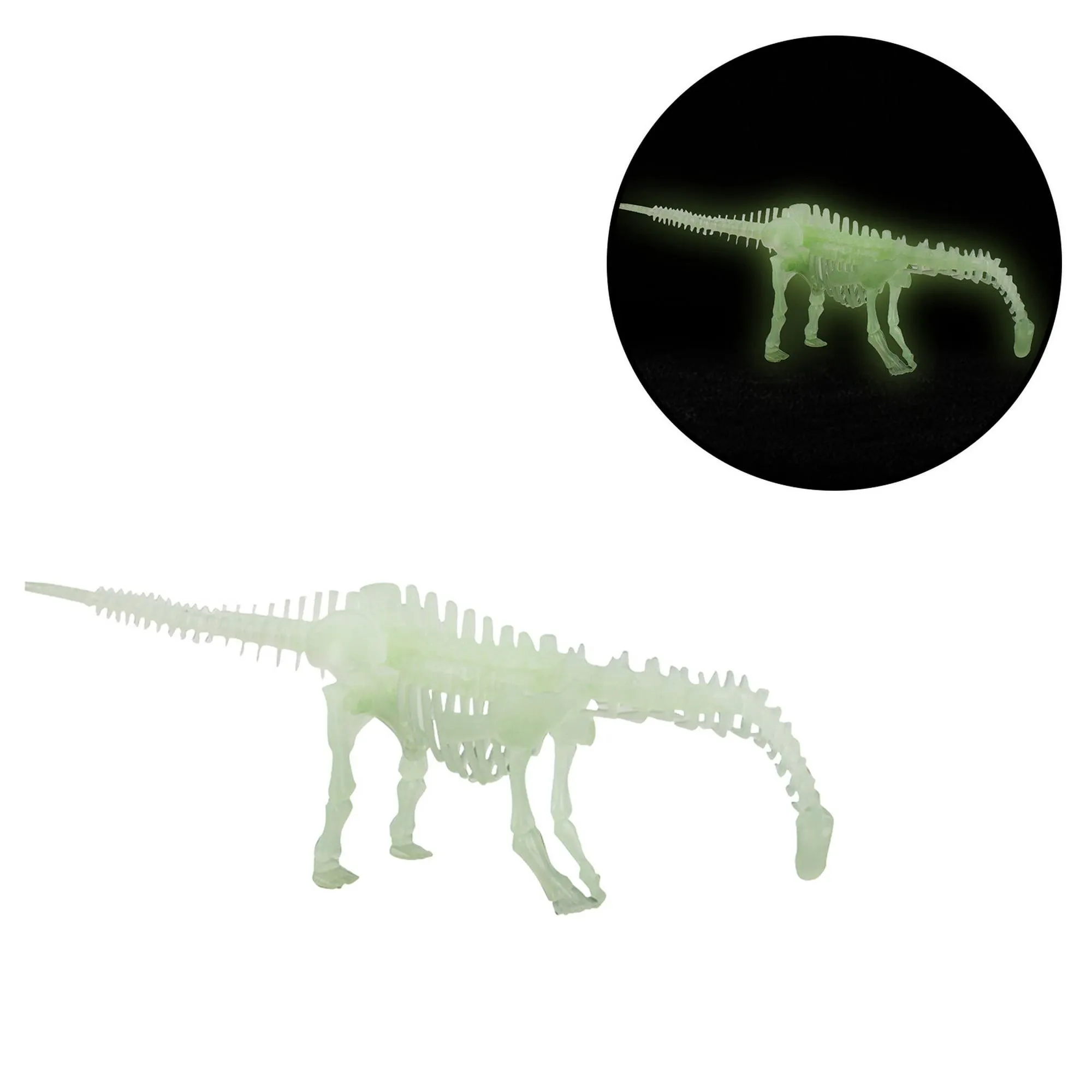Dinosaurio noctilucente modelo de esqueleto humano montaje cráneo juguete huesos decoración Wmkox8yii shdjk5373 | Bodega Aurrera en línea Dinosaurio noctilucente modelo de esqueleto humano montaje cráneo juguete huesos decoración Wmkox8yii shdjk5373 | Bodega Aurrera en línea
