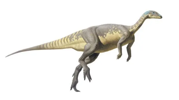 Dinosaurio | Noticias de Dinosaurio | El Comercio Peru Dinosaurio | Noticias de Dinosaurio | El Comercio Peru