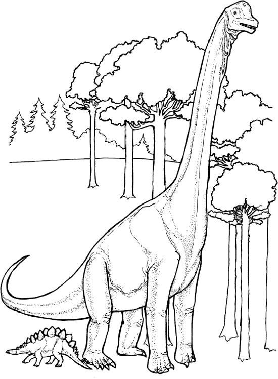 Dinosaurio-para-colorear.gif