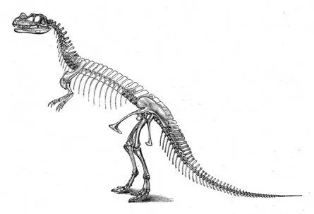 GRANDES DINOSAURIOS DE ARGENTINA