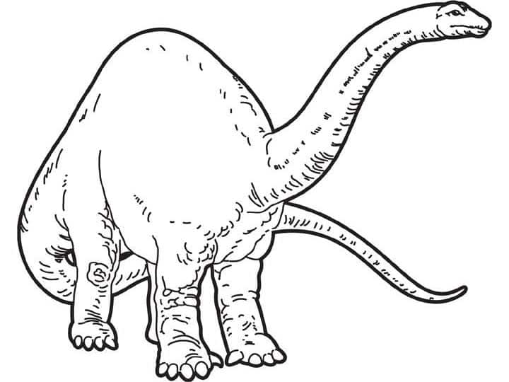 5 Dinosaurios para colorear | Dinosaurios