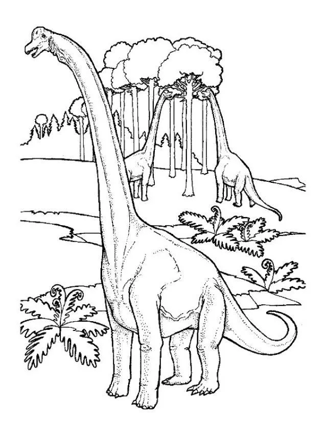 Dinosaurios cuello largo para colorear - Imagui Dinosaurios cuello largo para colorear - Imagui