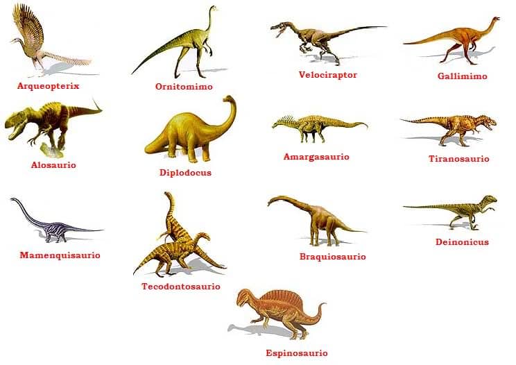 LOS DINOSAURIOS: LOS DINOSAURIOS