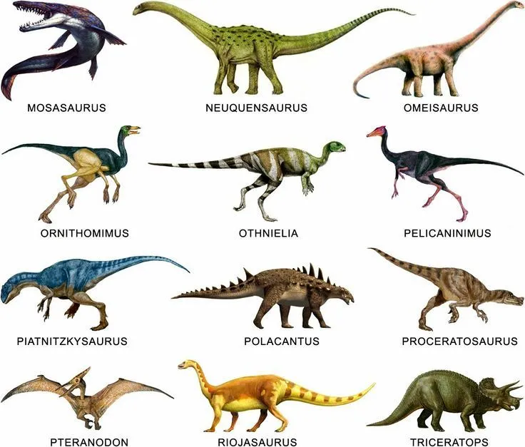 Y a los dinosaurios? ¿Es que no son animales de Dios? ¿Por qué ... Y a los dinosaurios? ¿Es que no son animales de Dios? ¿Por qué ...