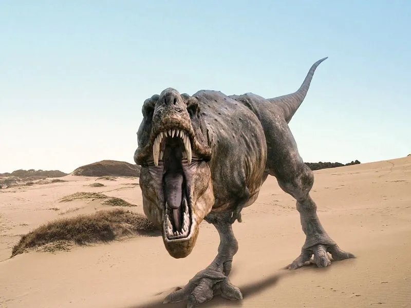 Los dinosaurios más famosos entre los niños | Dinosaurios