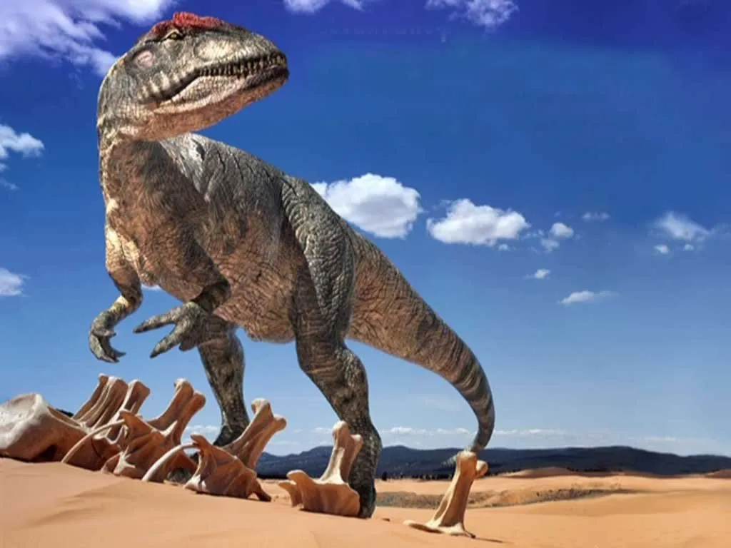 Dinosaurios | Todo Imagenes 