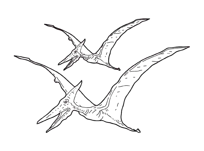 Dinosaurios voladores para colorear