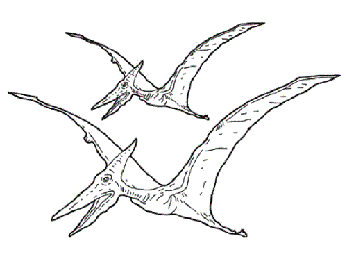 Dinosaurios voladores para pintar