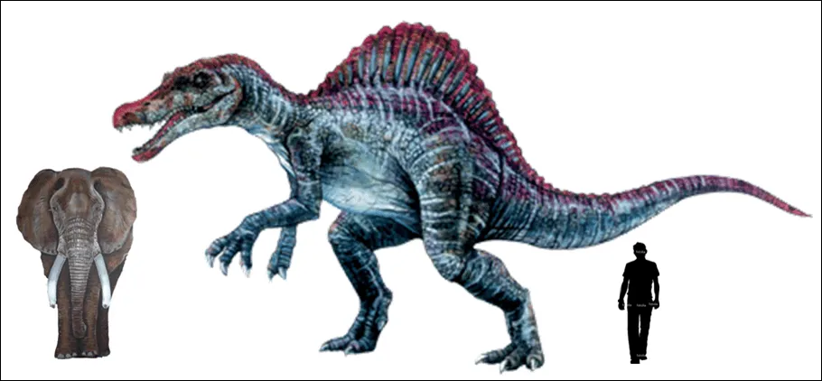 Dinowamas: Un inmenso carnívoro