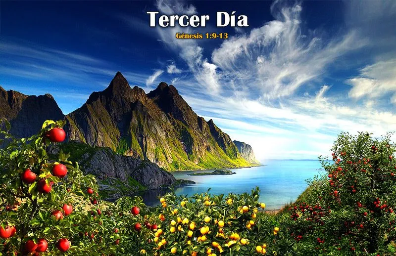 Dios y Sus atributos - Creación de los ángeles Dios y Sus atributos - Creación de los ángeles