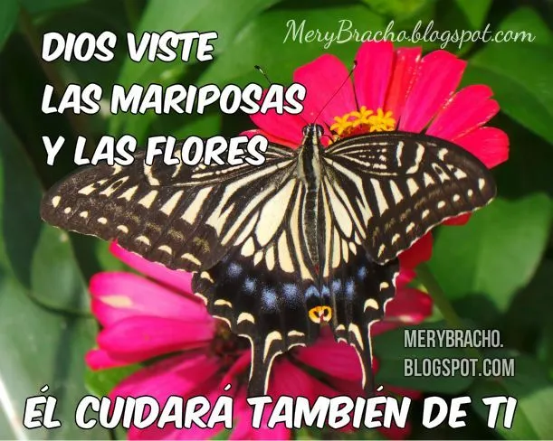 Dios te cuida. Frases de Aliento para ti | Entre Poemas y Vivencias Dios te cuida. Frases de Aliento para ti | Entre Poemas y Vivencias