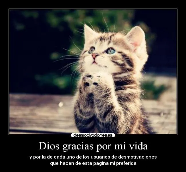 Dios gracias por mi vida | Desmotivaciones