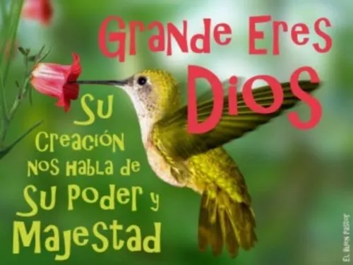 Mi Dios es Grande | Imagenes de Jesus - Fotos de Jesus