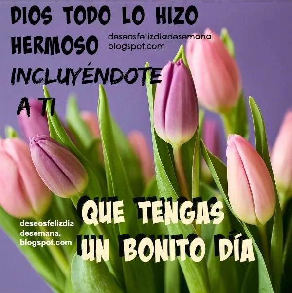 Dios todo lo hizo hermoso incluyéndote a ti. Que tengas un bonito ... Dios todo lo hizo hermoso incluyéndote a ti. Que tengas un bonito ...
