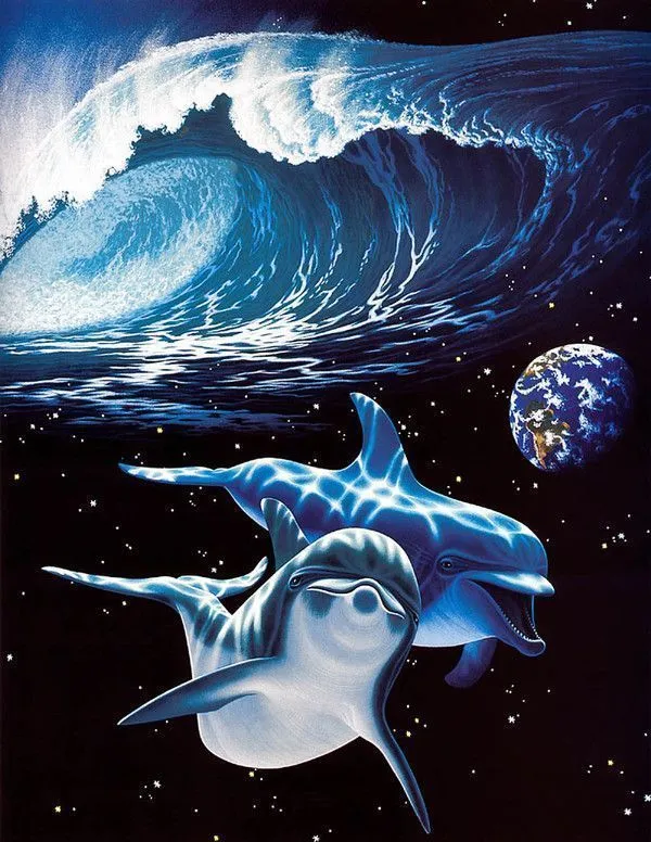 diosesencuerposhumanos: UNA PIEL AERODINÁMICA COMO EL DELFÍN...♥