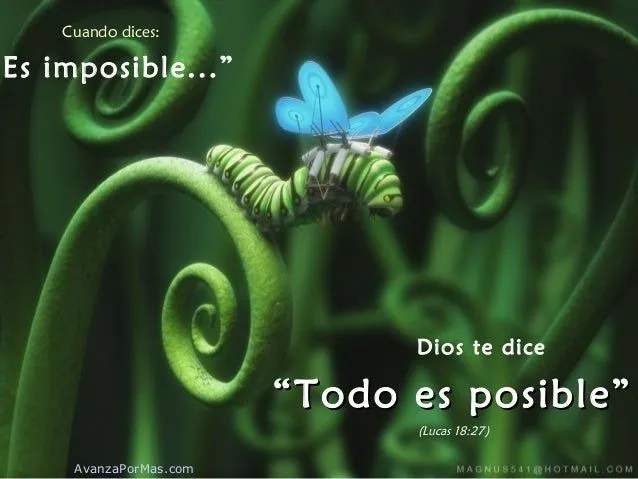 dioste-dice-avanzapormascom-2- ...