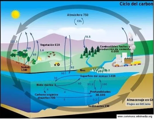 dióxido de carbono - Currículum en línea. MINEDUC. Gobierno de Chile. dióxido de carbono - Currículum en línea. MINEDUC. Gobierno de Chile.