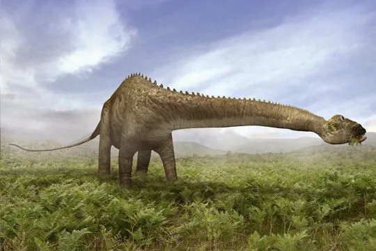 Diplodocus - Fotos, Hechos y Historia | Dinosaurios