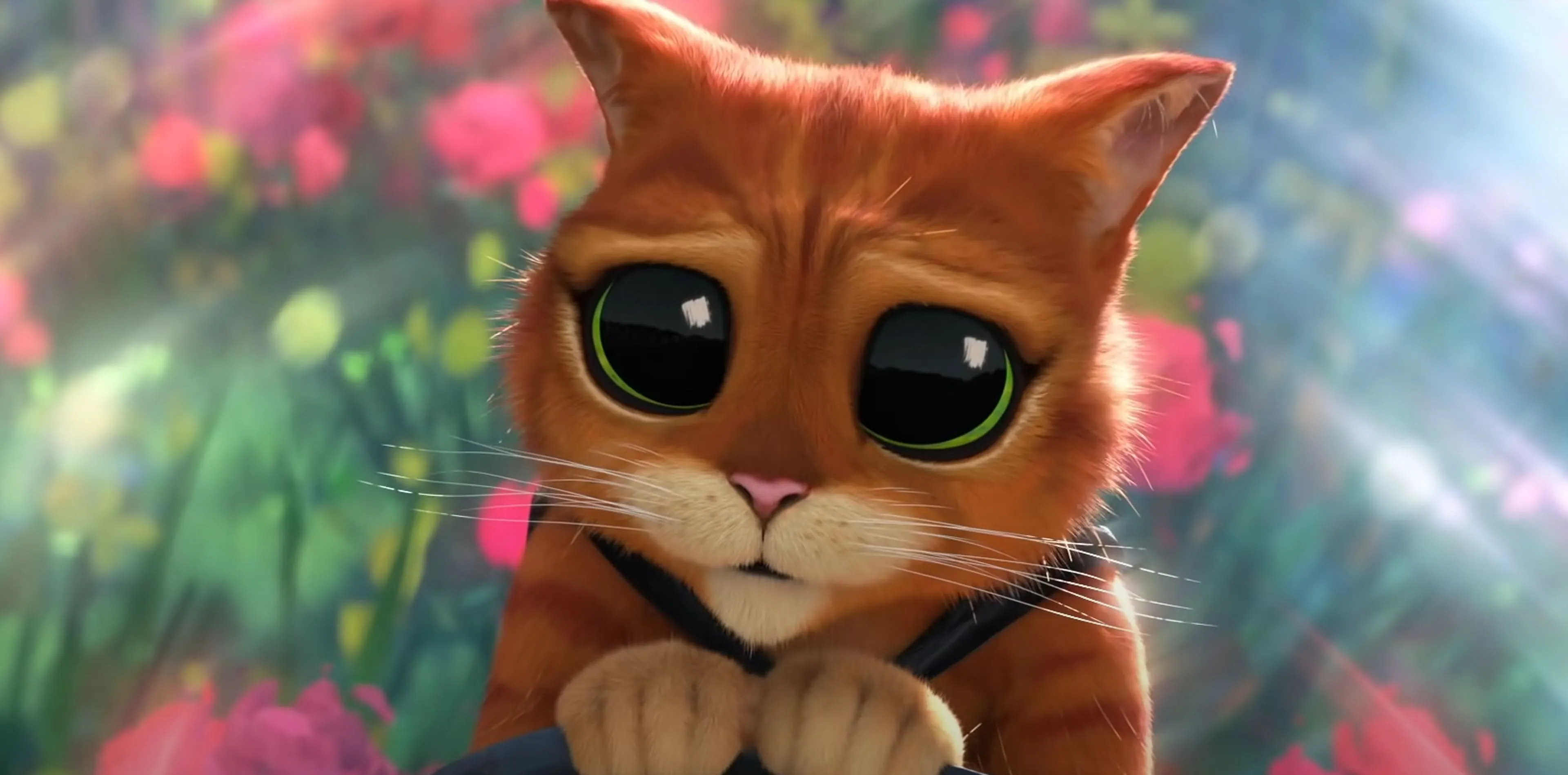 El director de El Gato con Botas: El último deseo habla sobre su animación  2D-3D | Hobby Consolas