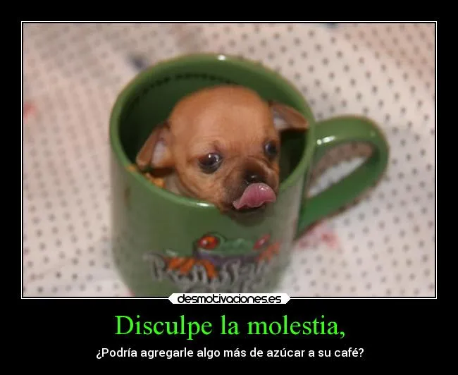 Disculpe la molestia, | Desmotivaciones